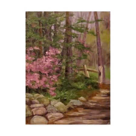 Rusty Frentner 'Garden Path' Canvas Art,14x19